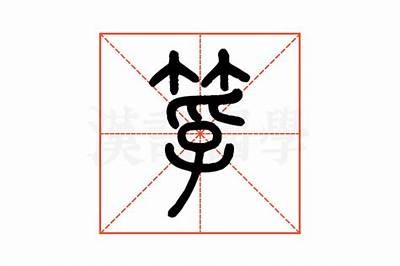 解析妗冪┛鍐涜鍞辨瓕鐜板満瑙嗛的市场现状与发展动向