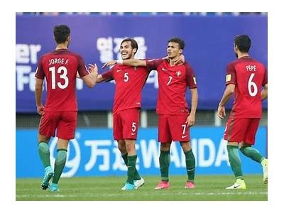 真实记录：国产挤奶青草视频，展现奶农的辛劳与农村生活