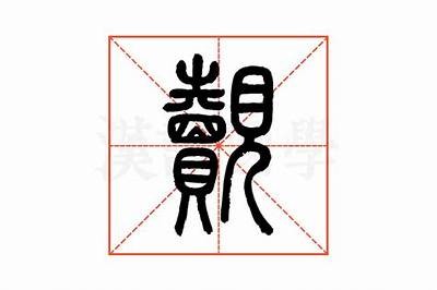 铚滄濉斿仛娉曡棰?铚滄娉℃场娴嬭瘎瑙嗛详细解析与市场动向调查