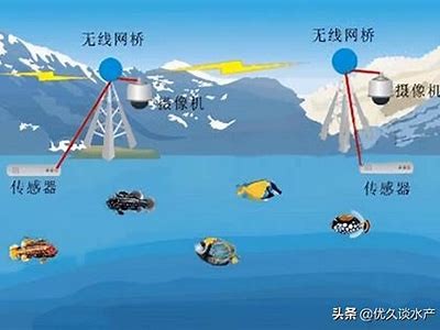 如何在水产养殖中完成智能化管理？探索新技术与实践案例
