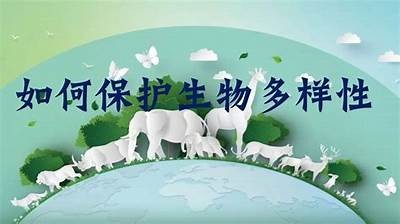探索国产成人在线视频的多样性与文化影响