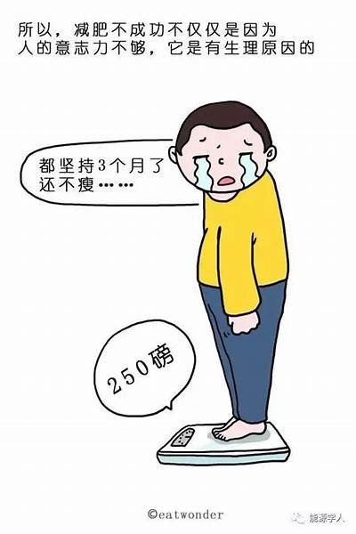 如何科学减脂？揭秘高效减脂食谱与锻炼方法！