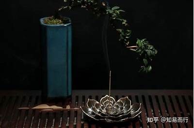 如何选择合适的绮惧搧缁煎悎瑙嗛？专家分享实用技巧与建议
